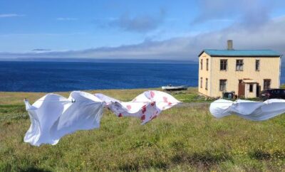 Happy-Cove Guesthouse