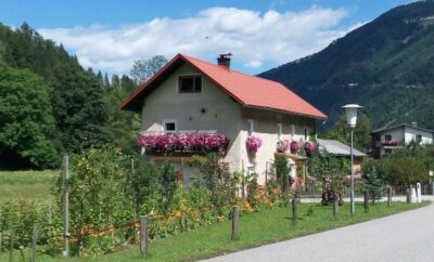 Appartment in Hollenstein – Haring