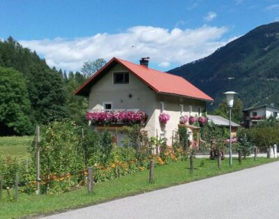 Appartment in Hollenstein – Haring