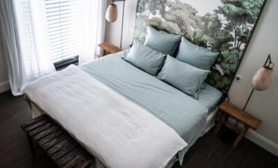 Eco-responsible B&B Chambre Canopée
