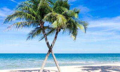 7 Best Beaches in North Carolina – The Top Beaches to Visit!