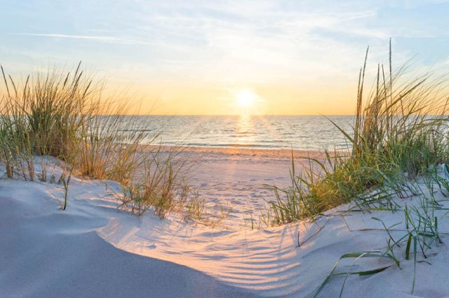 Oak Island