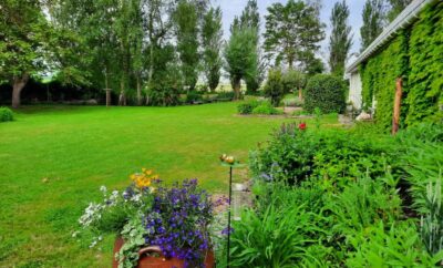 Beautiful renovated house between plain, sea and marshes