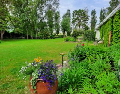 Beautiful renovated house between plain, sea and marshes