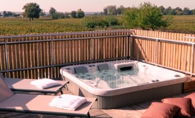 Charming apartment with vineyard view