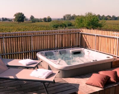 Charming apartment with vineyard view