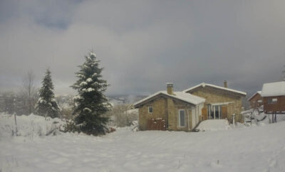 The little house