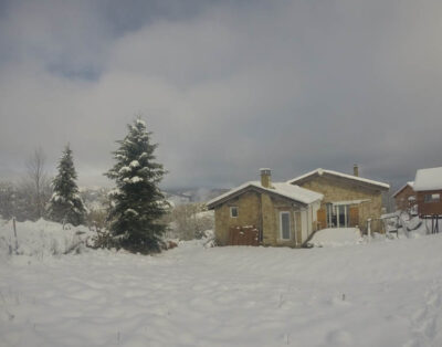The little house