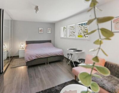 Magnificent Cosy studio
