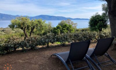 Villa Indépendante – Alivetta