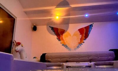 Romantic Gîte for 12 people with SPA