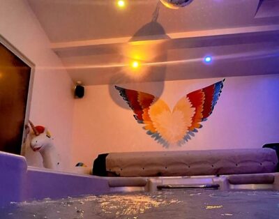 Romantic Gîte for 12 people with SPA