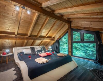 Chalet in the middle of nature with Spa and Terrasse