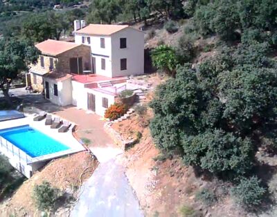 Villa in the heart of olive grove