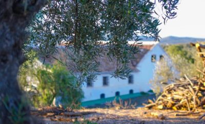 Cortijo Alzamigaja