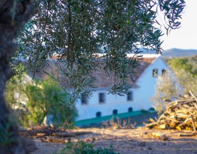 Cortijo Alzamigaja