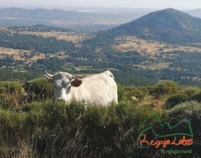 Our Rural refuge