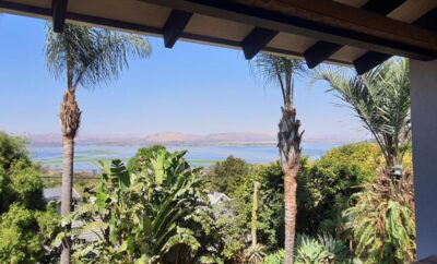 Fever Tree View
