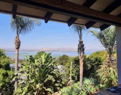 Fever Tree View