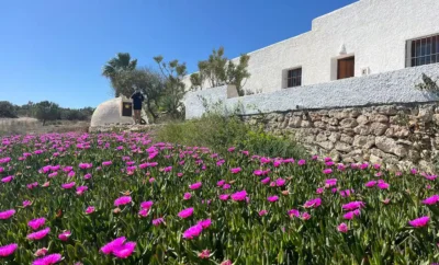 Country house in La Joya with ocean views; “Amara Agua”