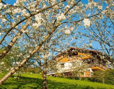 4 Bedroom (Sleeps 8) House in Basque Country
