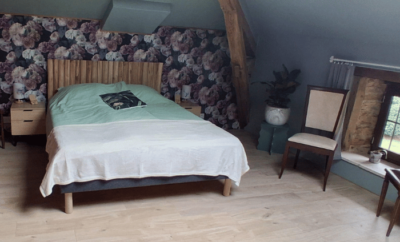 The Dragonfly Room